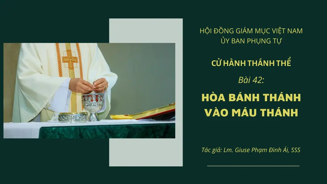 Cử Hành Thánh Thể: Bài 42 – Hòa Bánh Thánh Vào Máu Thánh