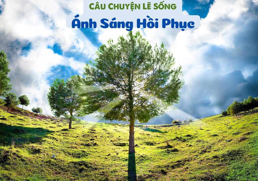 Câu Chuyện Lẽ Sống – Bài 25: Ánh Sáng Hồi Phục