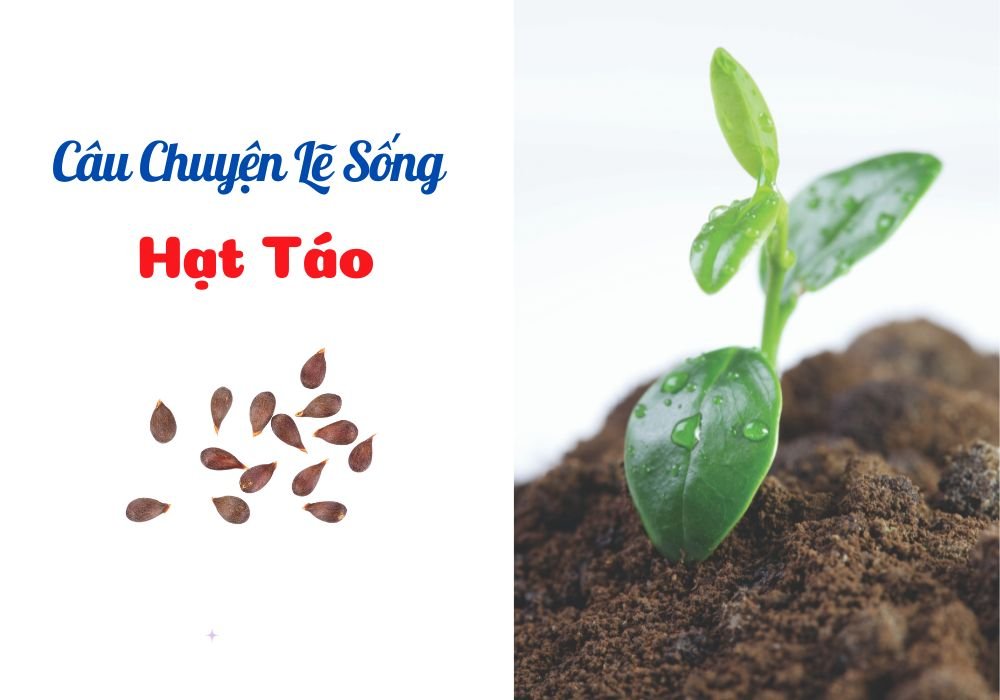 Câu Chuyện Lẽ Sống – Bài 45: Hạt Táo