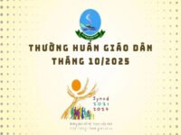 Ủy Ban Giáo Dân – Tháng 10.2025: Bài 2 – Mục Vụ Truyền Thông Và Kỹ Thuật Số