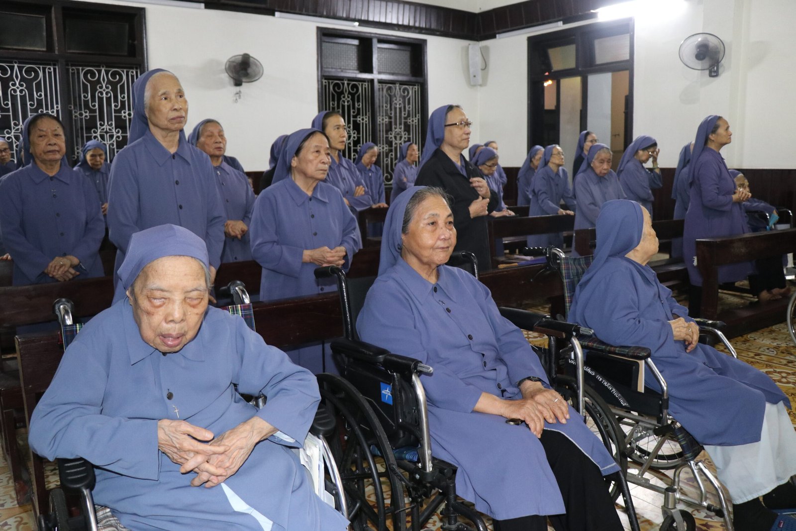 Hướng Dương Của Chiều Hoàng Hôn