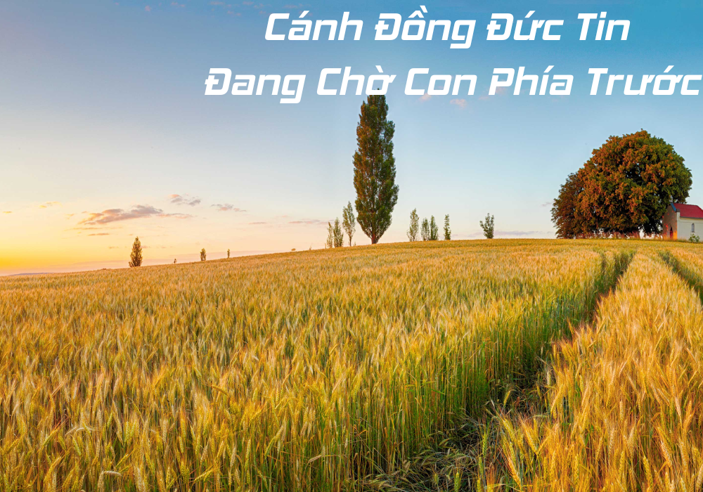 Cánh Đồng Đức Tin Đang Chờ Con Phía Trước