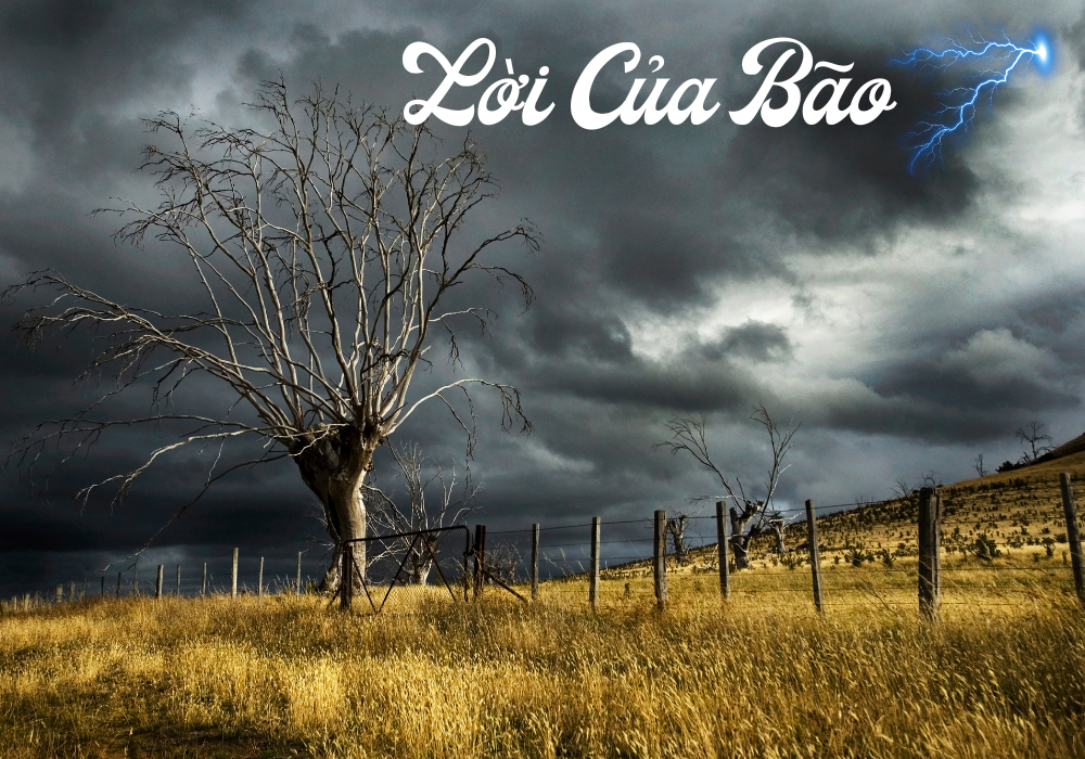 Lời Của Bão