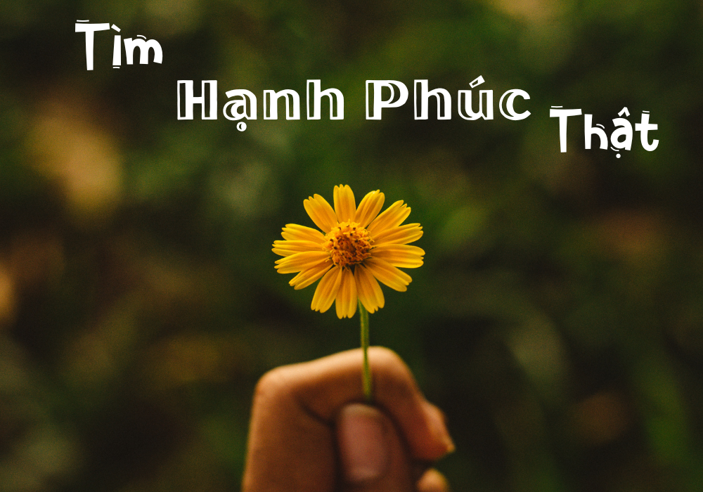 Tìm Hạnh Phúc Thật