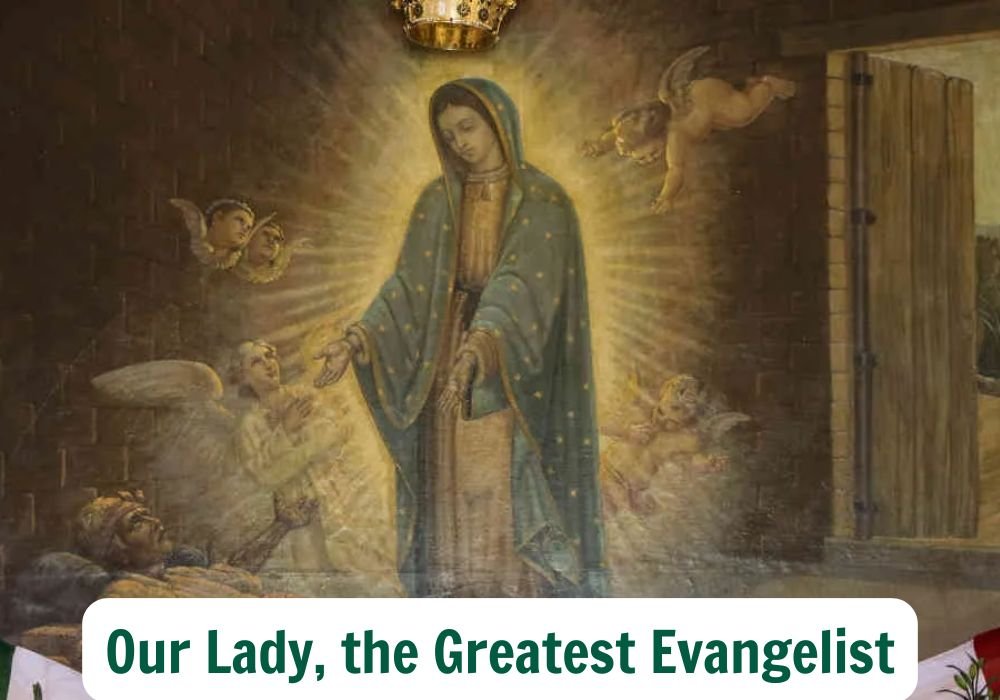 Daily Reflection – December 12, 2025 – Our Lady of Guadalupe—USA Feast