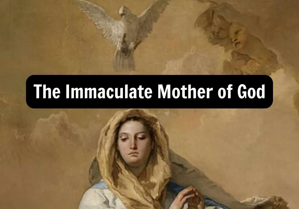 Daily Reflection – The Immaculate Mother of God