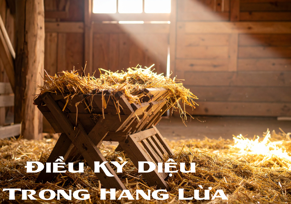 Điều Kỳ Diệu Trong Hang Lừa